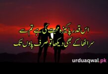 Love Poetry In Urdu Love Poetry In Urdu