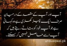 Motivational Quotes In Urdu Urdu quotes