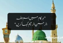Islamic Quotes In Urdu Islamic Quotes In Urdu