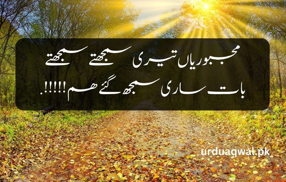 Sad Poetry In Urdu, urdu poetry sad