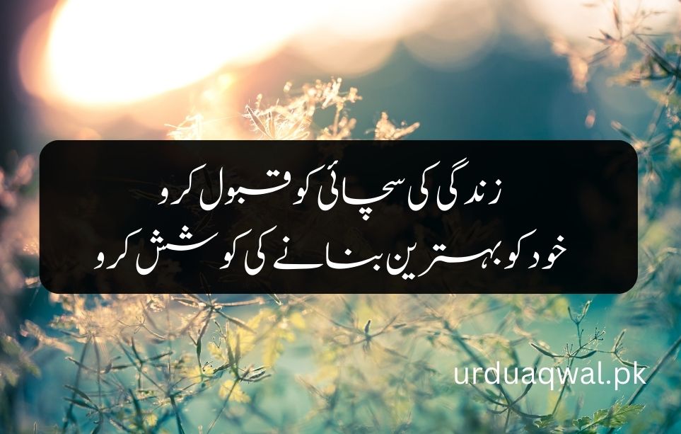 urdu sad quotes