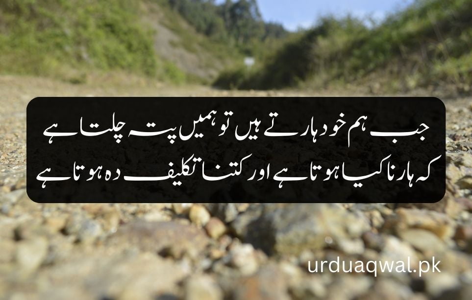 Urdu sad quotes
