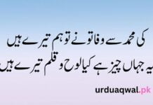Allama Iqbal quotes in Urdu Allama Iqbal quotes in Urdu