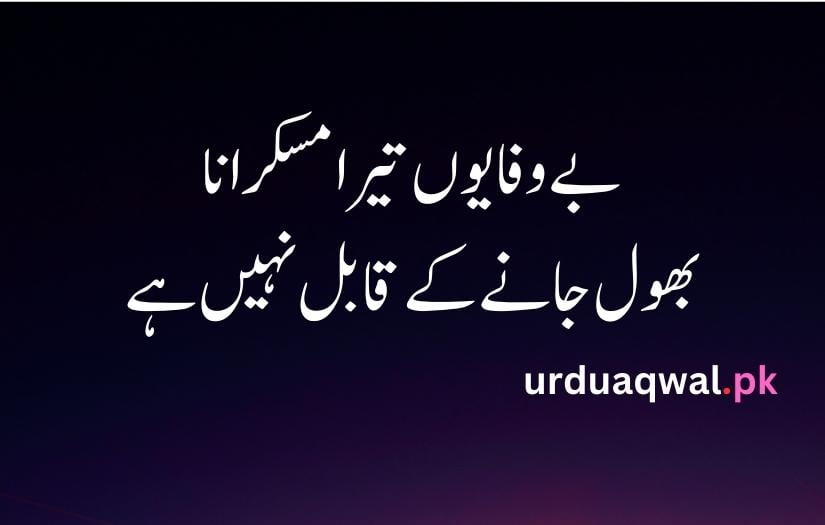 urdu poetry 2 lines text attitude