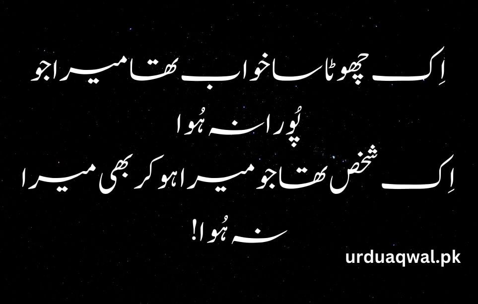 urdu shayari on love 