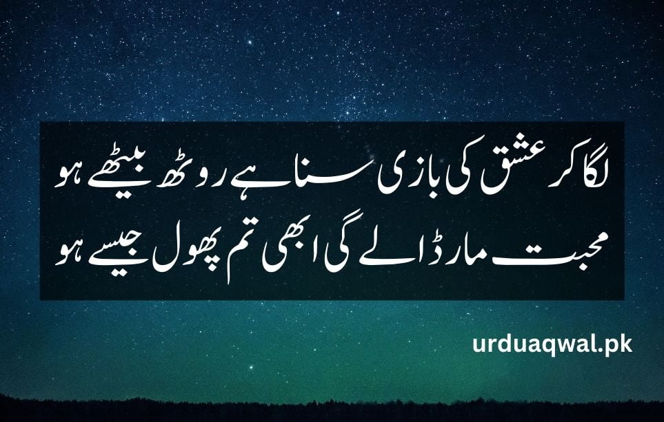 Urdu Shayari on love 