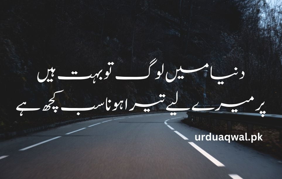 Urdu Shayari on love 