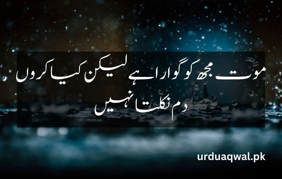 Urdu Shayari on love 