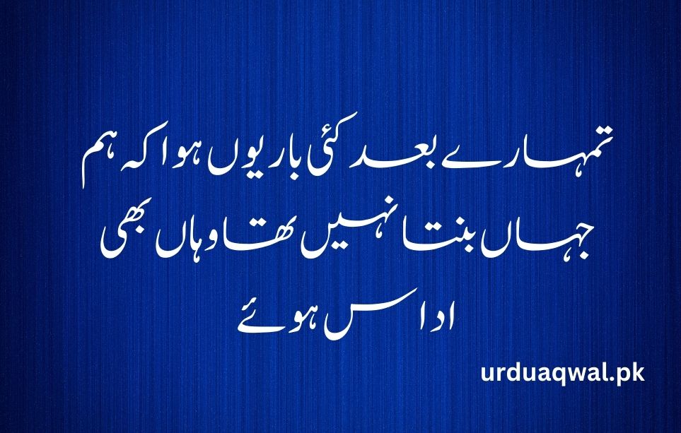 urdu shayari on love 