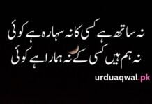 Sad quotes in Urdu one line Sad quotes in urdu one line
