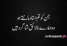 Attitude poetry urdu - Urdu Aqwal