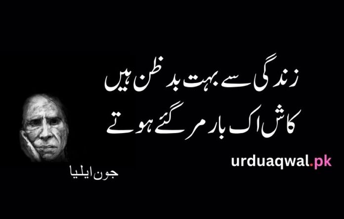 John elia urdu poetry