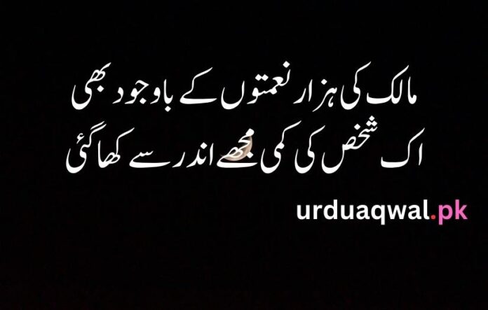 Sad Poetry in Urdu for life