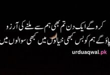 Sad quotes in Urdu one line Sad quotes in Urdu one line