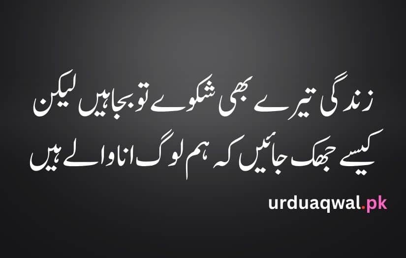 Attitude poetry in urdu 2 lines