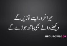 Attitude poetry in urdu 2 lines Attitude poetry in urdu 2 lines