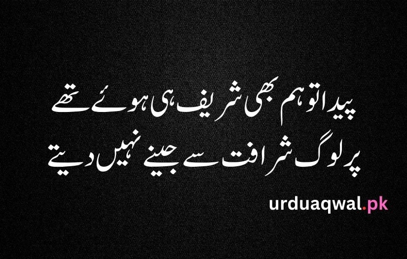 Attitude poetry urdu