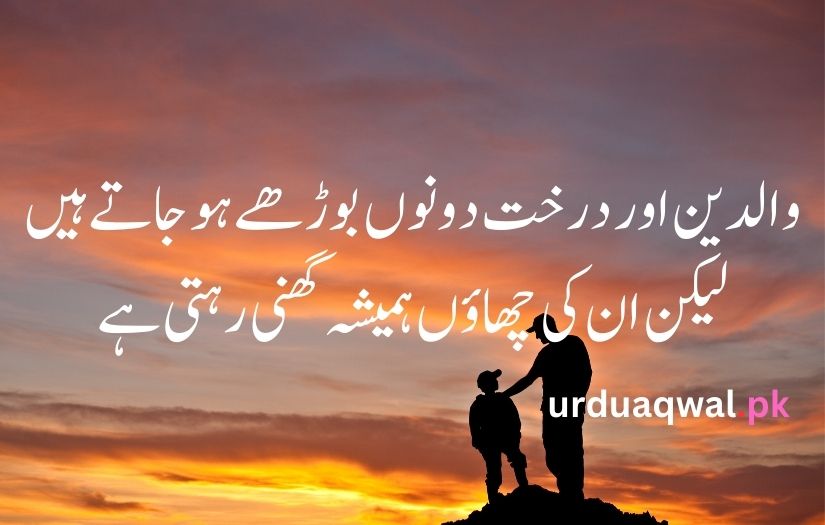 Baap poetry urdu