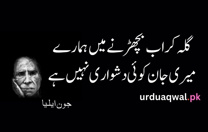 John elia urdu poetry