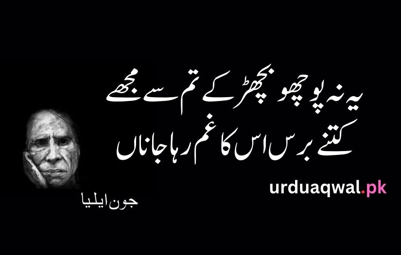 John elia urdu poetry