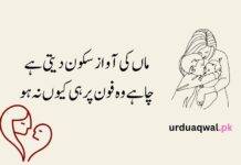 Mother poetry in urdu text Mother poetry in urdu text