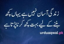 quotes in urdu about life reality quotes about life in urdu one line