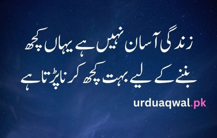 quotes about life in urdu one line