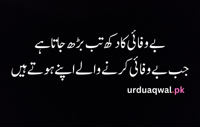 sad quotes in urdu