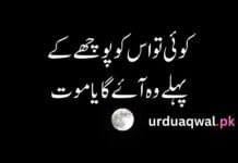 Sad quotes in urdu one line Sad quotes in urdu one line