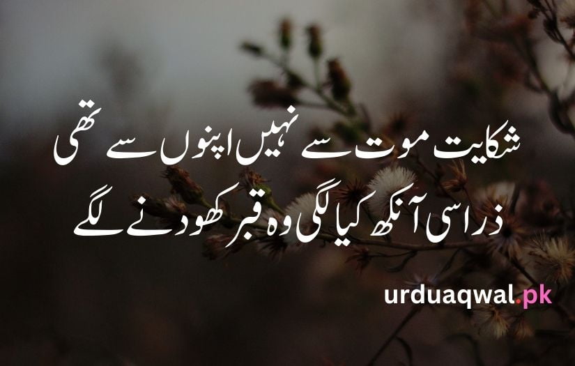 Sad Shayari in urdu text