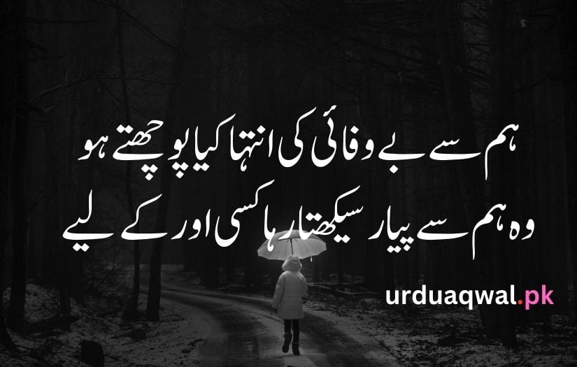 Sad Shayari in urdu text