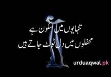1 line deep quotes in urdu 1 line deep quotes in urdu