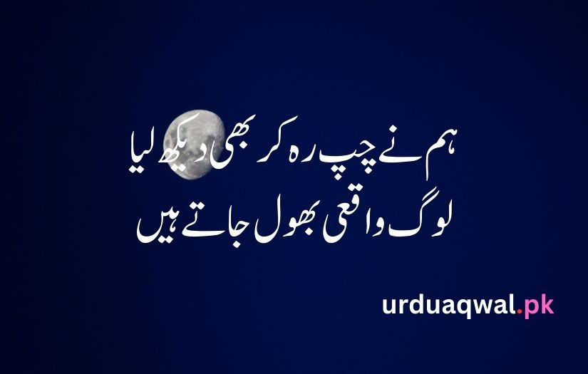 1 line poetry in urdu