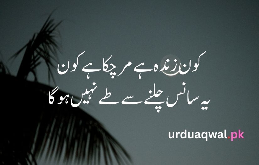 1 line poetry in urdu