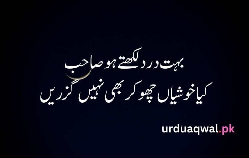 1 line poetry in urdu