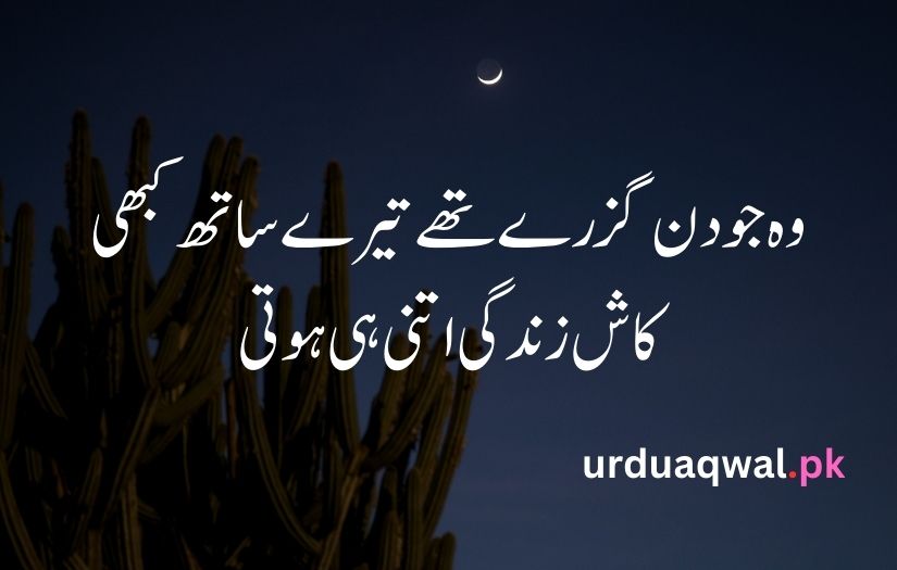 1 line poetry in urdu