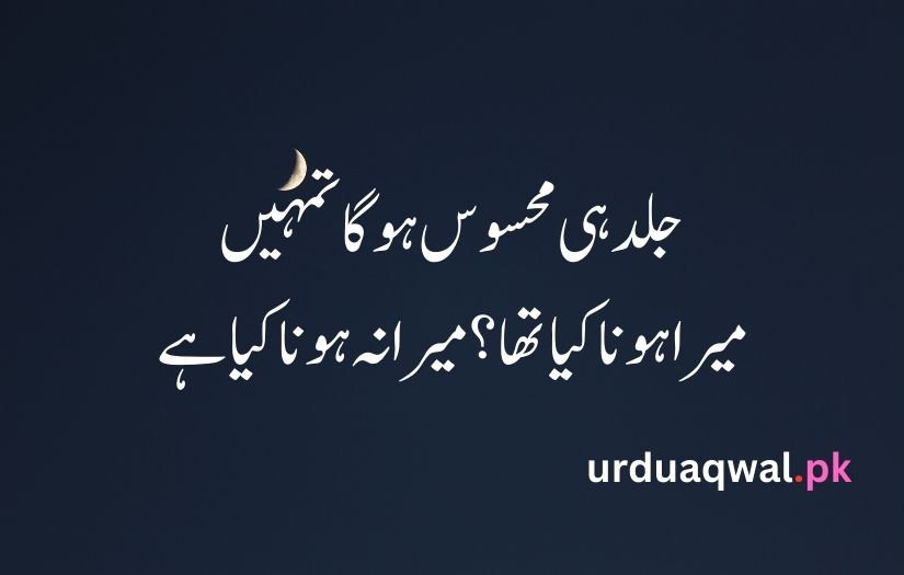 1 line poetry in urdu