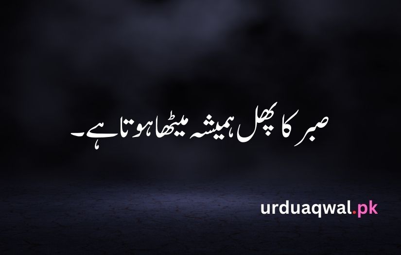 1 line quotes in urdu