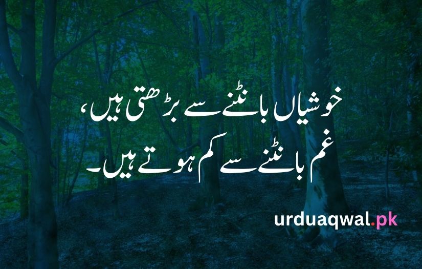 1 line quotes in urdu