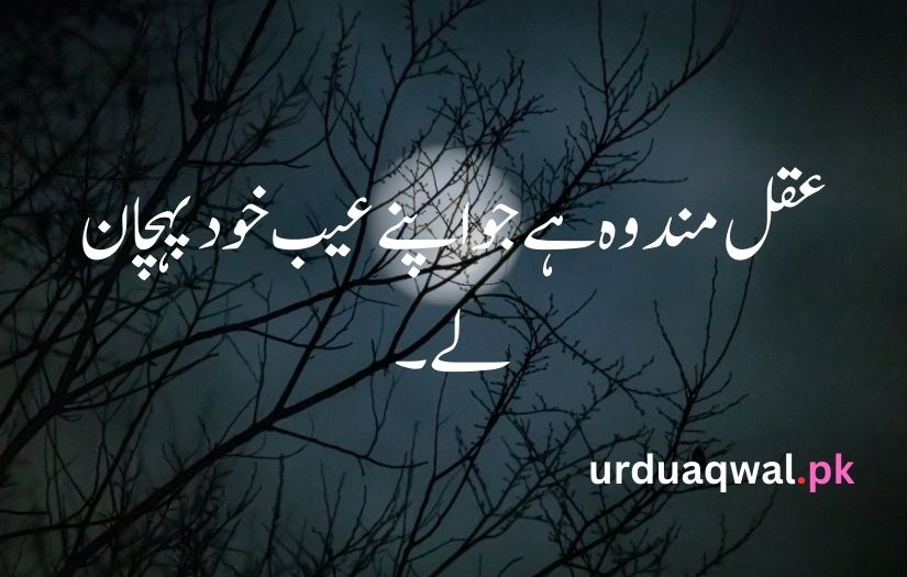 1 line quotes in urdu