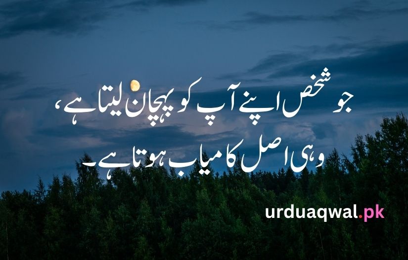 1 line quotes in urdu