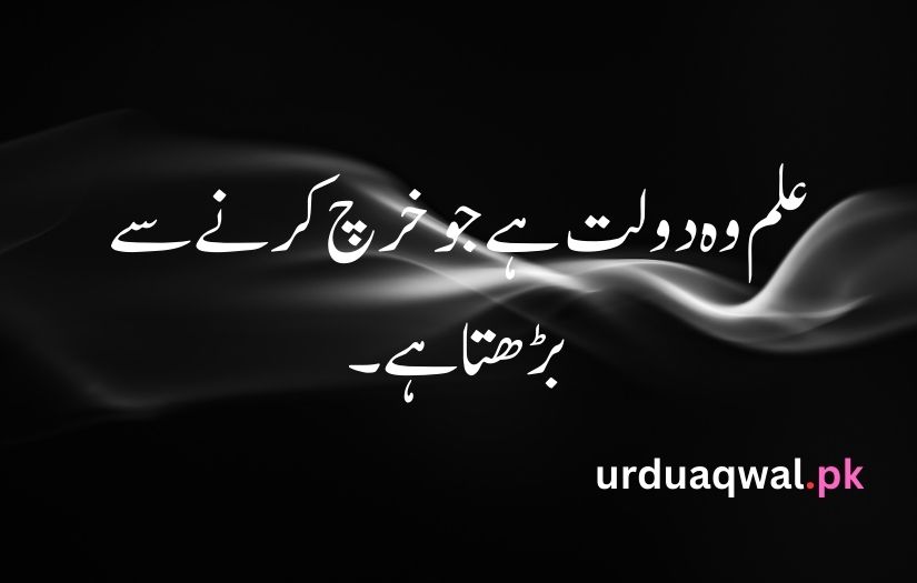 1 line quotes in urdu