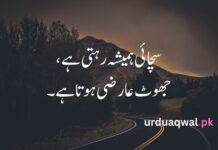 Aqwal e Zareen in urdu Aqwal e Zareen in urdu