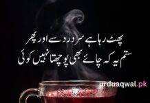 chai pe shayari in urdu chai pe shayari in urdu