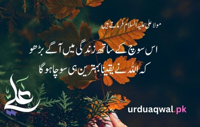 Best 40+ Mola Ali quotes in urdu text - Moula Ali quotes