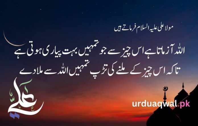 Best 40+ Mola Ali quotes in urdu text - Moula Ali quotes