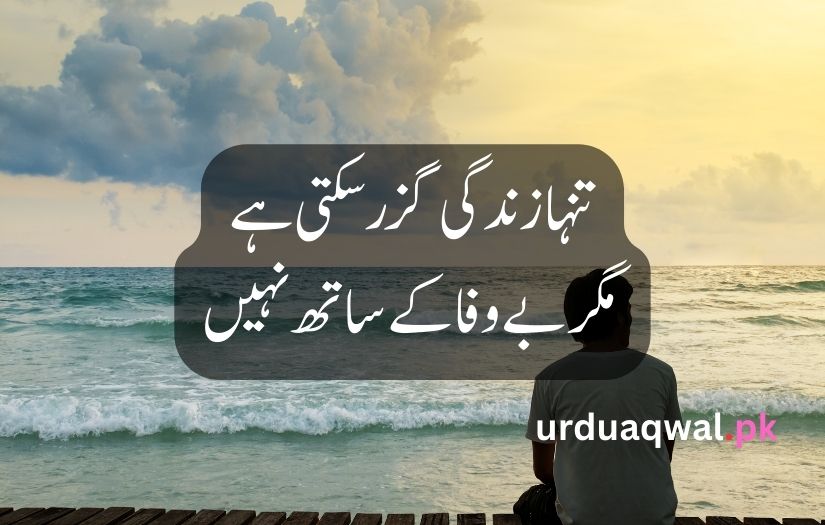 Sad Shayari urdu language