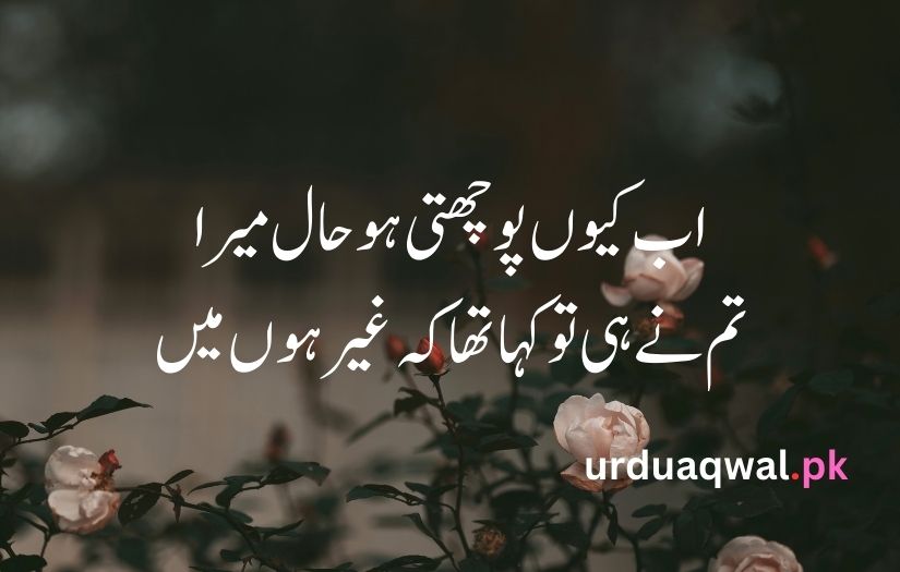 Sad Shayari urdu language