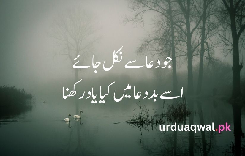 Sad Shayari urdu language