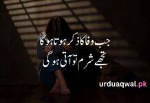 Sad Shayari urdu language Sad Shayari urdu language